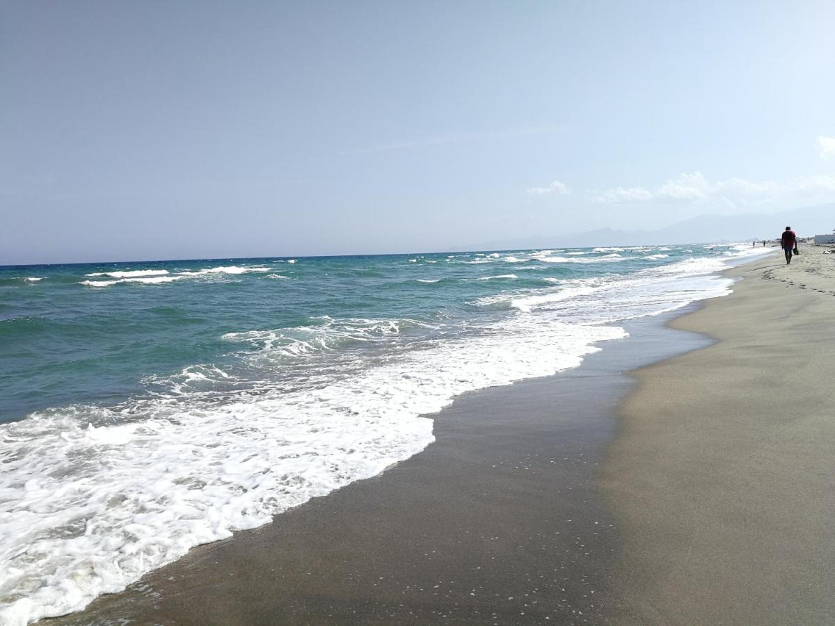 Agreable Studio 50M De La Plage Canet-en-Roussillon Esterno foto